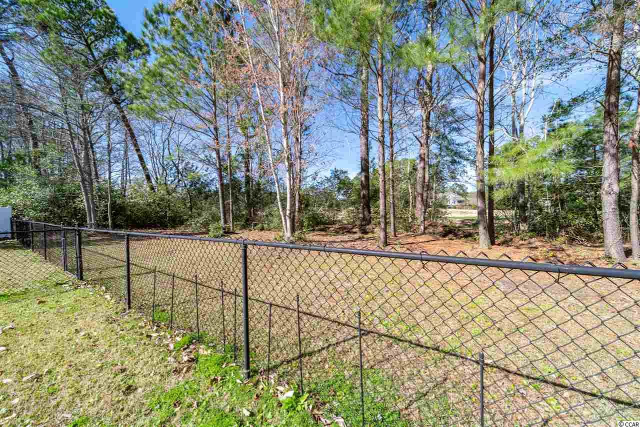 338 Springfield Road Pawleys Island, SC 29585 - Photo 29 of 40 Gallery Image 29