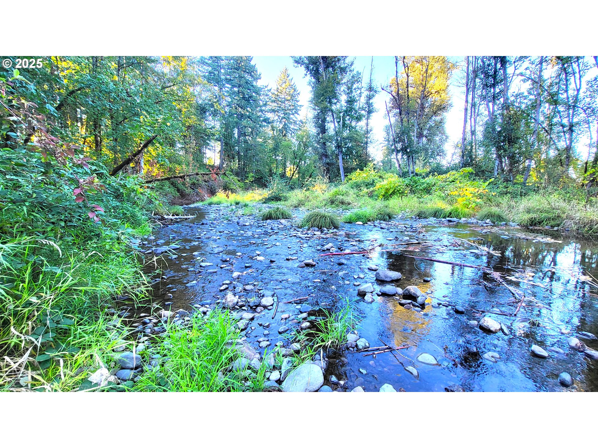 82147 Lost Valley Lane Dexter, OR 97431 - Photo 15 of 19 a outdoor view