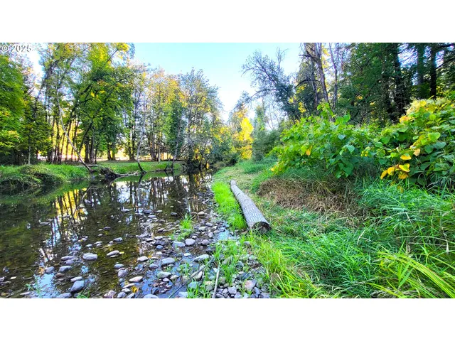 a open area with lots of trees