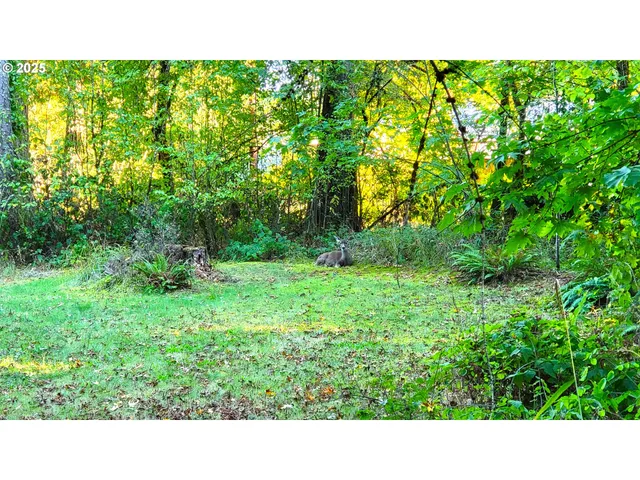 a open open city view