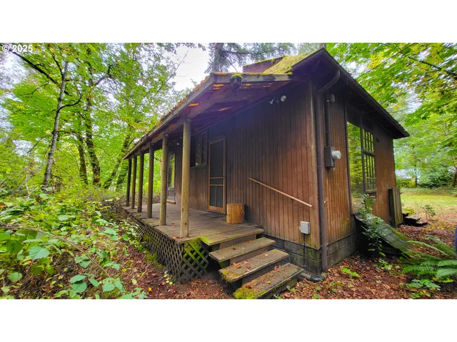 a black and white photo of a house