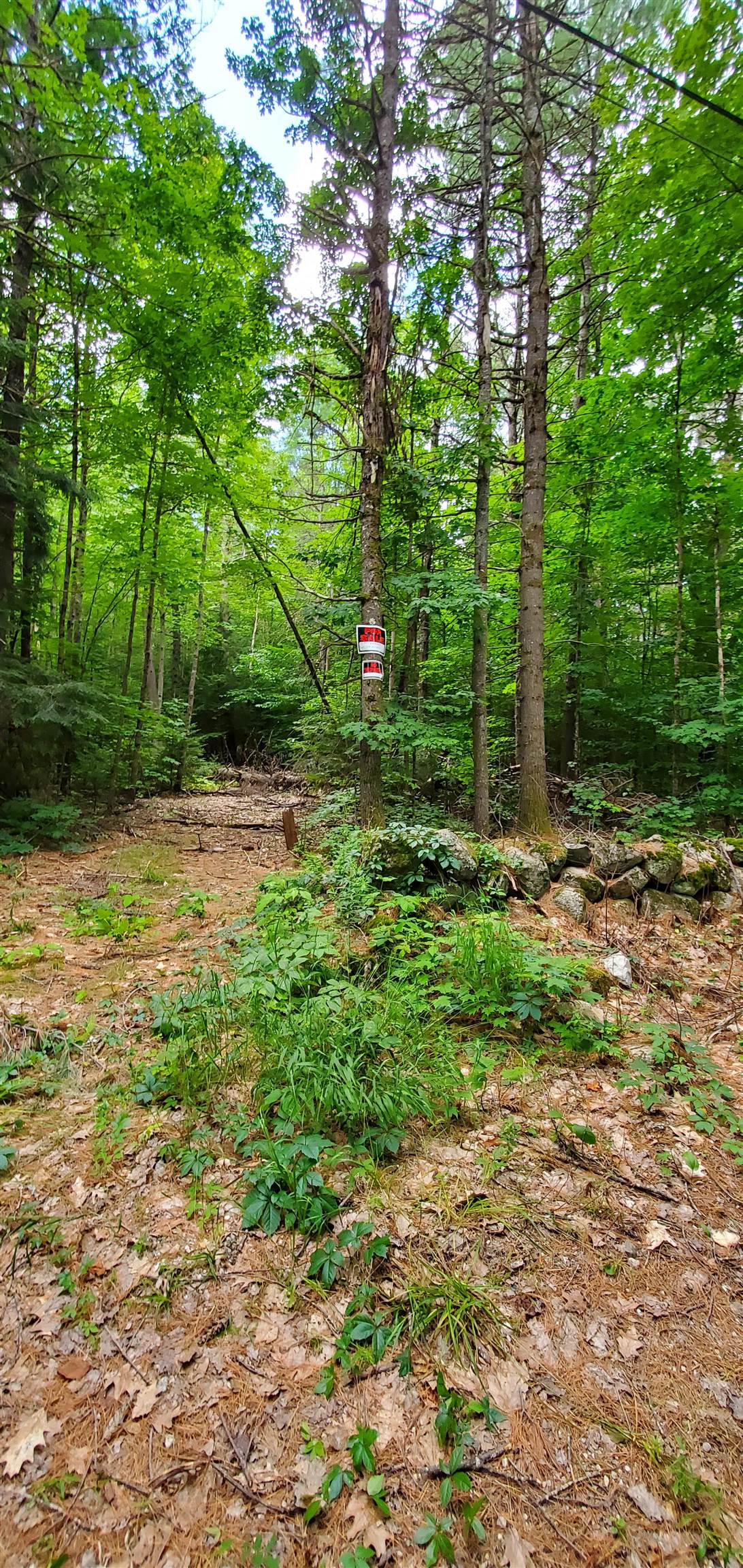 Lot 5 North Wakefield Road Wolfeboro, NH 03894 - Photo 5 of 9 Gallery Image 5
