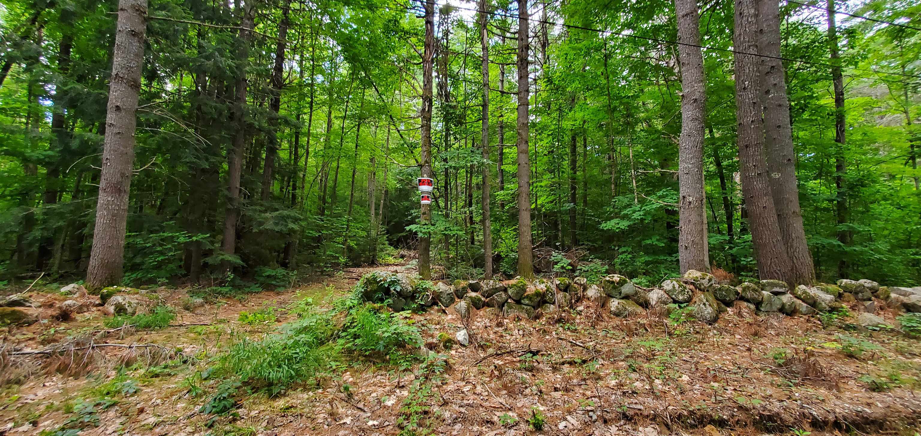 Lot 5 North Wakefield Road Wolfeboro, NH 03894 - Photo 6 of 9 Gallery Image 6