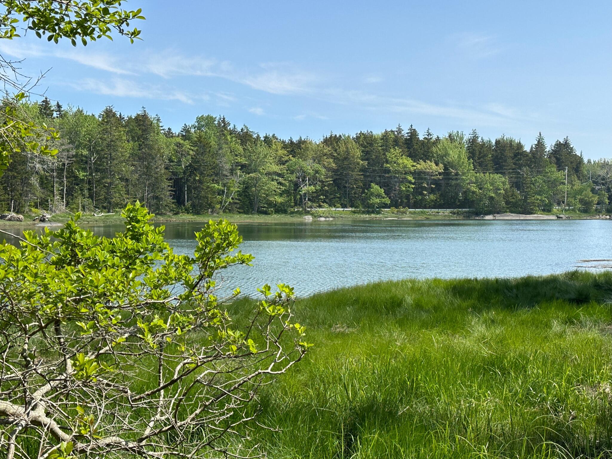 31 Fay Road Spruce Head, ME 04859 - Photo 4 of 77 F38B1264-4C58-4802-8D49-E54DBA207120