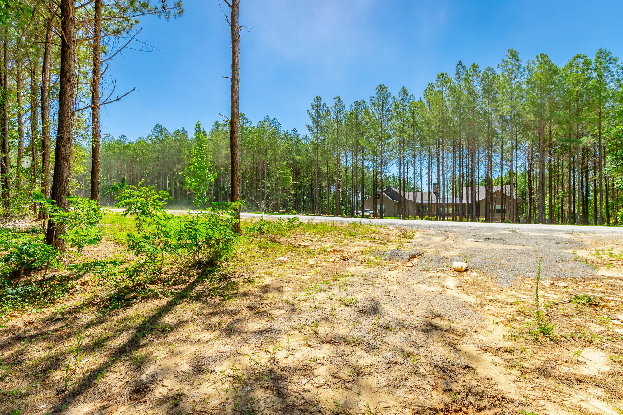 0 Split Rail Way, Unit LOT 1163 Guild, TN 37340 - Photo 27 of 118 River Gorge Lot 1163 HD-28