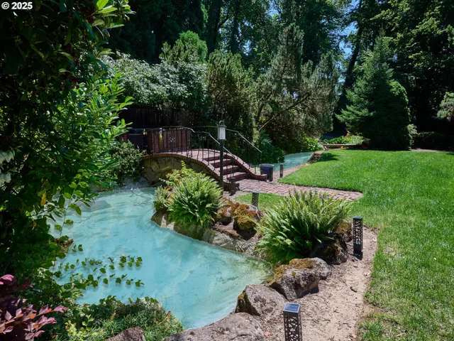 a view of a garden with plants and large trees