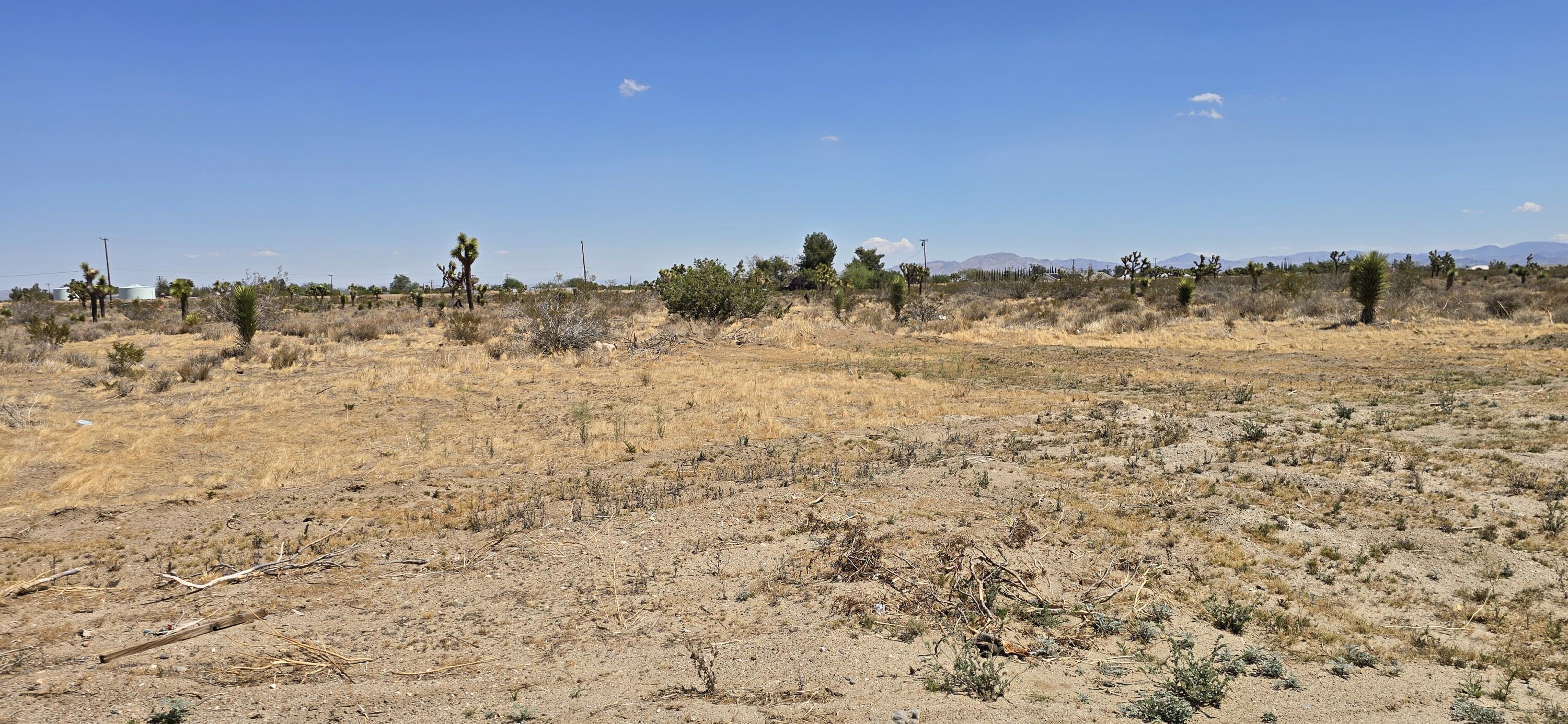 Aprox Solano Road Phelan, CA 92371 - Photo 3 of 5 a view of a dry yard with trees