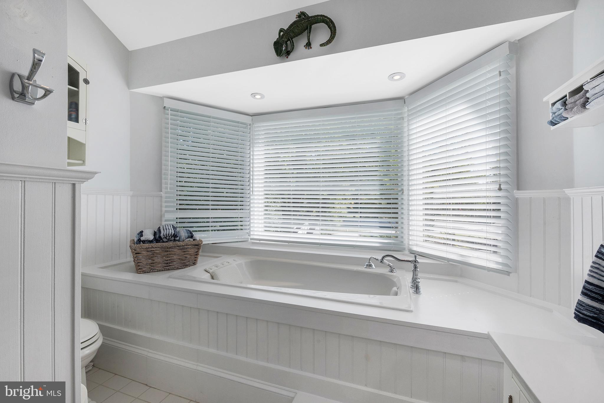 252 Riverside Road Edgewater, MD 21037 - Photo 41 of 90 Master bath