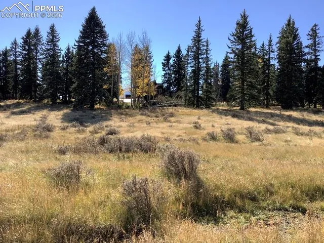 $200,000 | 199 Joshua Road, Divide, CO 80814