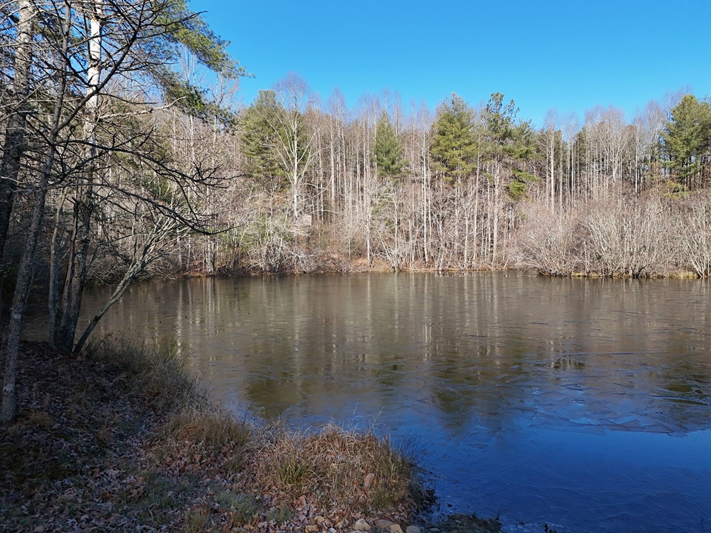 5-acres Hells Holw Way Blue Ridge, GA 30513 - Photo 34 of 43 Gallery Image 34