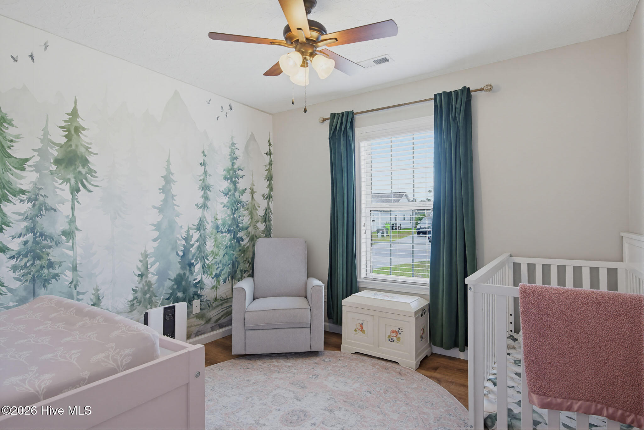 208 Red Carnation Drive Holly Ridge, NC 28445 - Photo 16 of 28 Bedroom 2