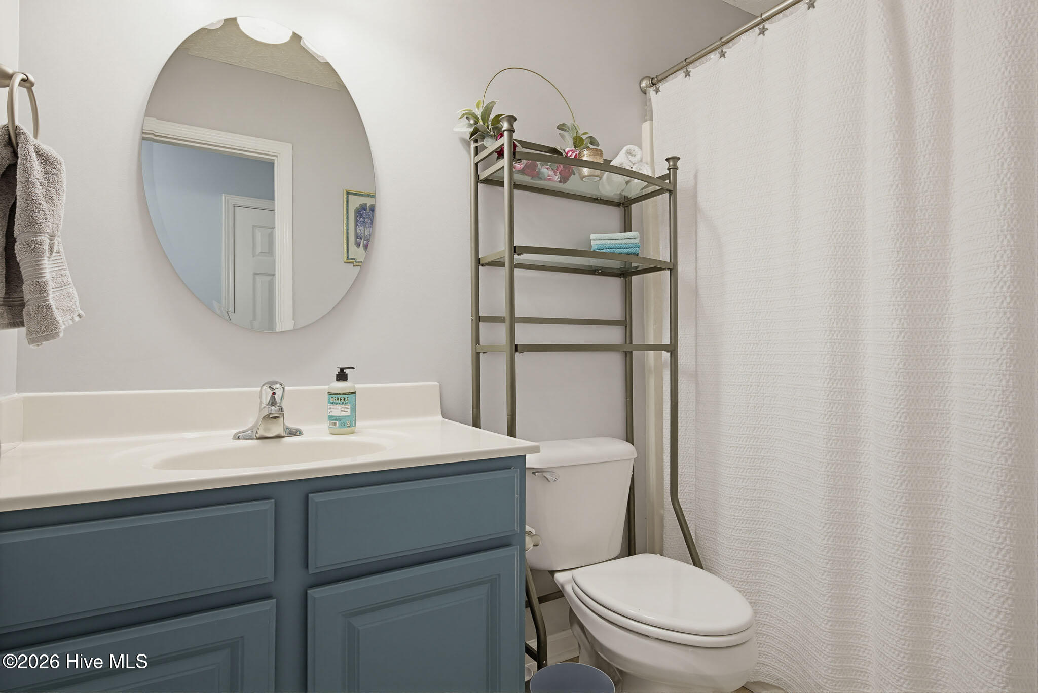 208 Red Carnation Drive Holly Ridge, NC 28445 - Photo 18 of 28 Hall Bath