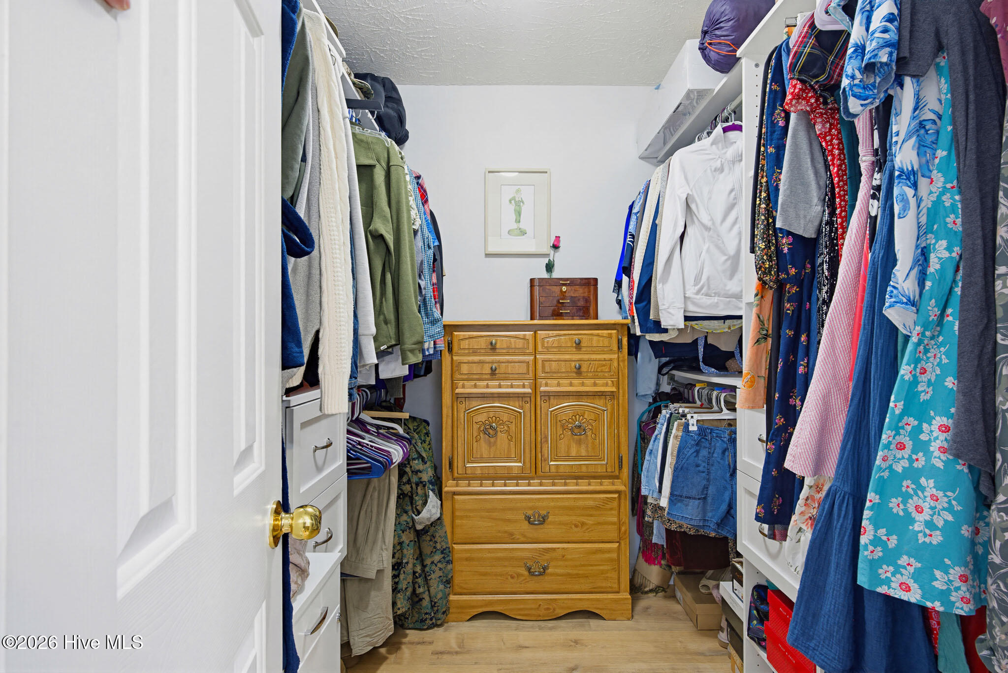 208 Red Carnation Drive Holly Ridge, NC 28445 - Photo 22 of 28 Primary walk in closet