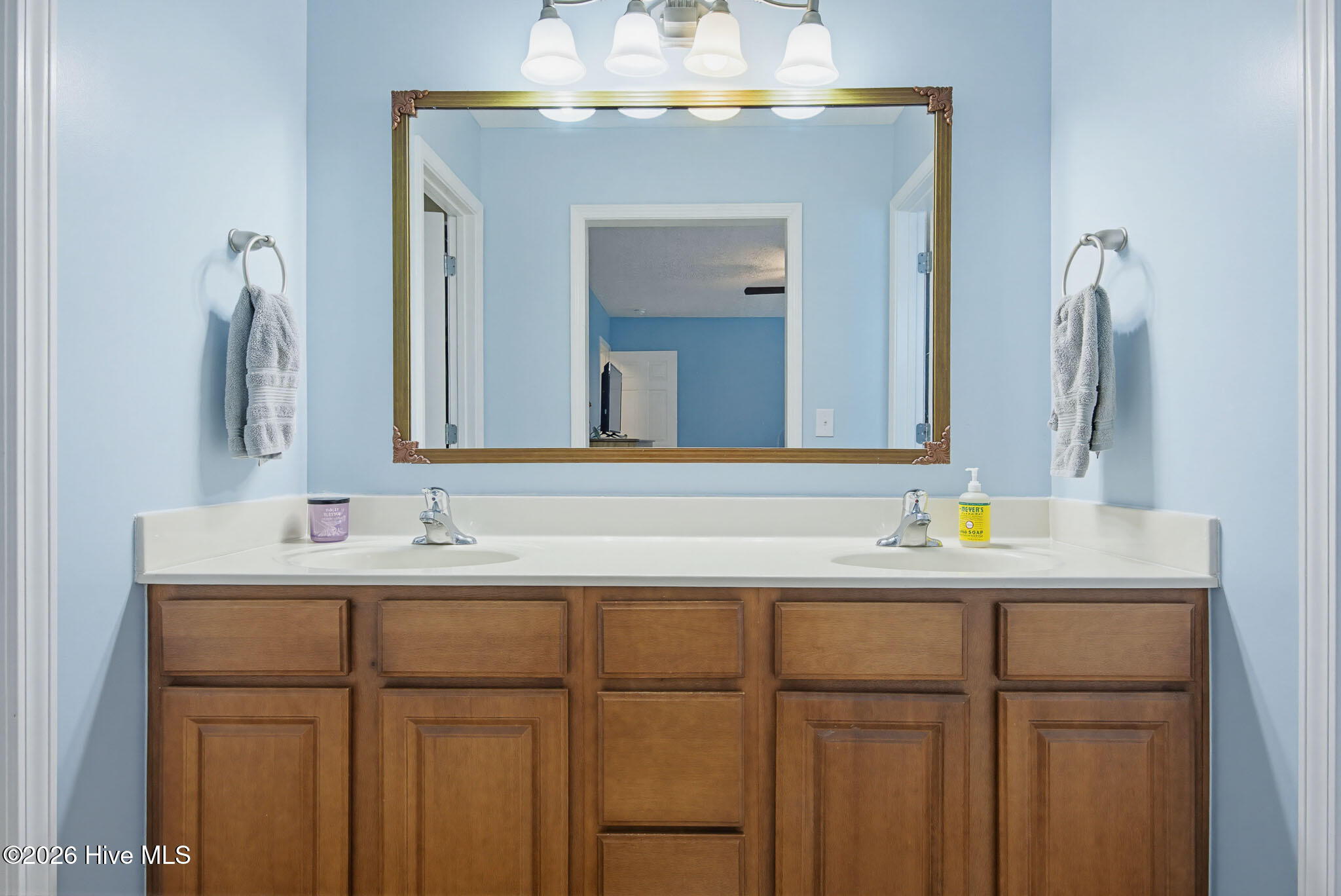 208 Red Carnation Drive Holly Ridge, NC 28445 - Photo 24 of 28 Primary bath