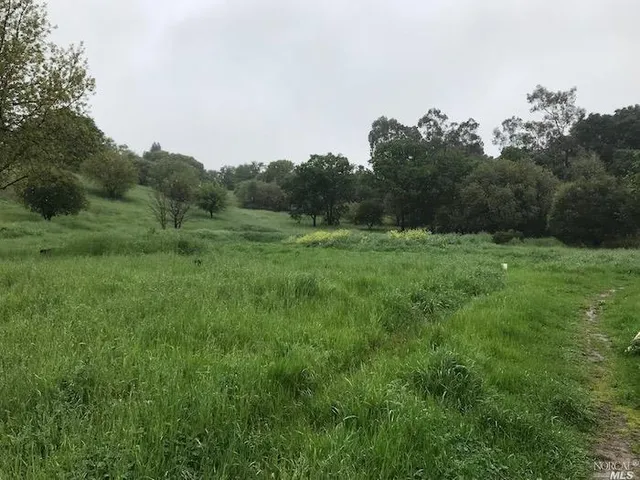 a yard with lots of green space