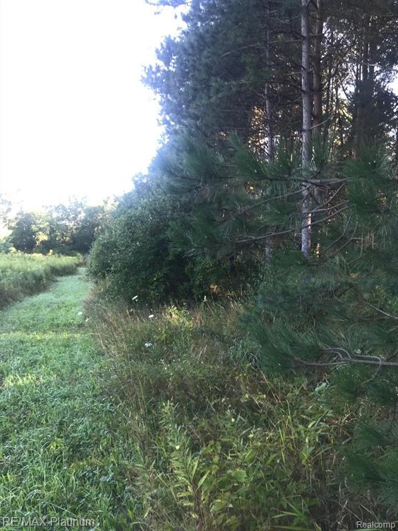 2 Hacker Brighton, MI 48114 - Photo 3 of 16