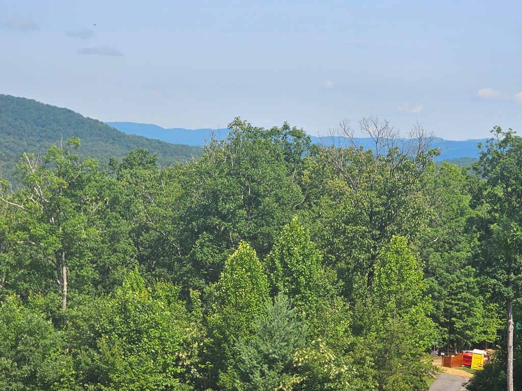 31-acres Upper Bear Paw Road Murphy, NC 28906 - Photo 6 of 26