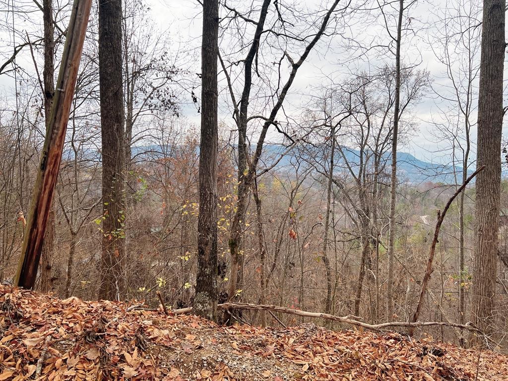 10 Shagbark Hickory Ridge Sevierville, TN 37862 - Photo 25 of 28 Gallery Image 25
