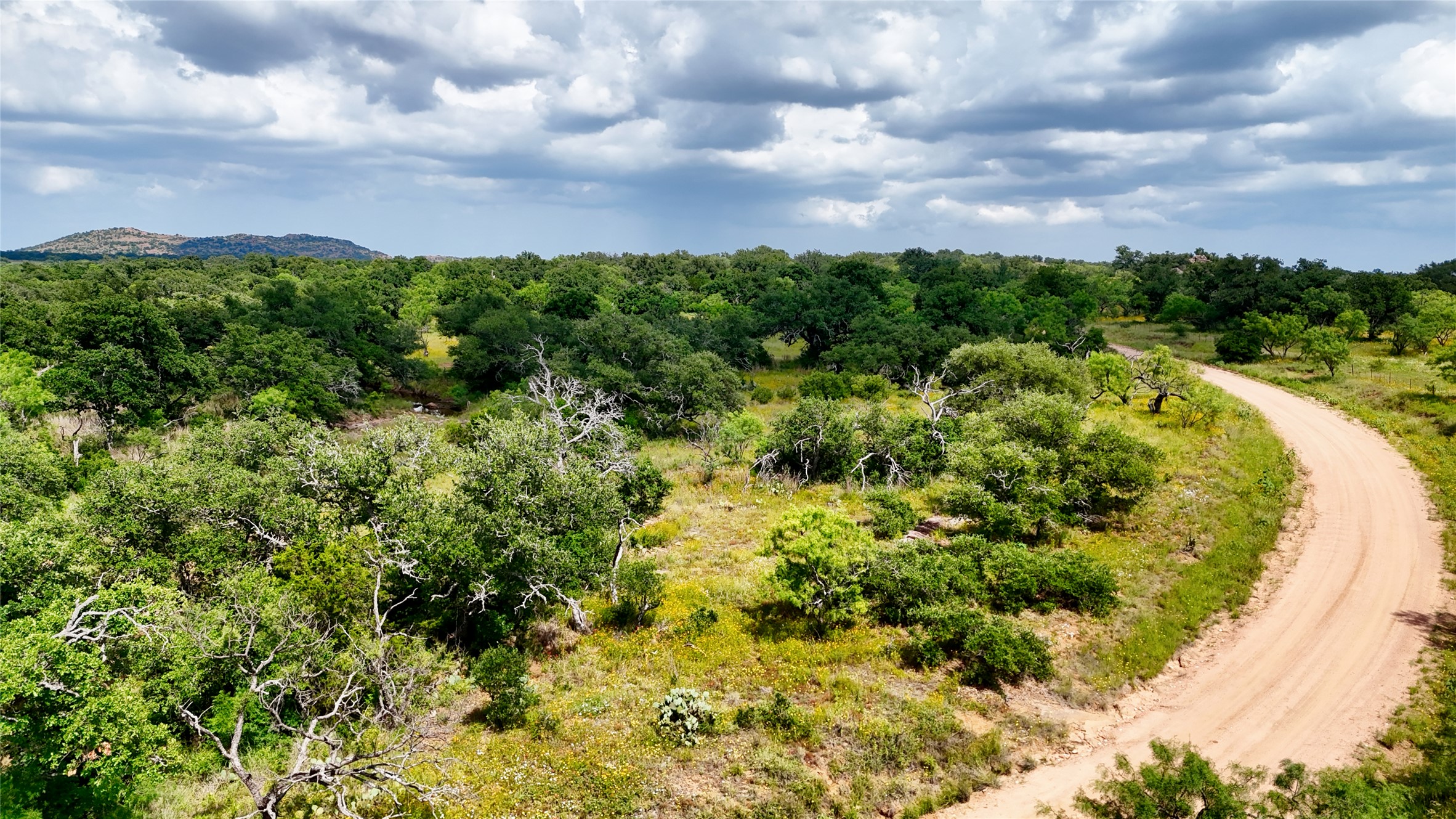 18248 Bode Peak Road Pontotoc, TX 76869 - Photo 16 of 17 A winding dirt road cuts through a vibrant, tree-filled landscape under a dramatic sky.