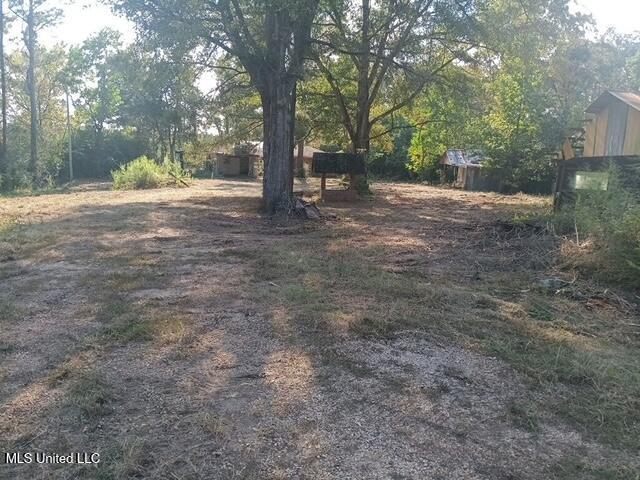 412 Skating Rink Road Prentiss, MS 39474 - Photo 7 of 7 imagejpeg_0 (2)