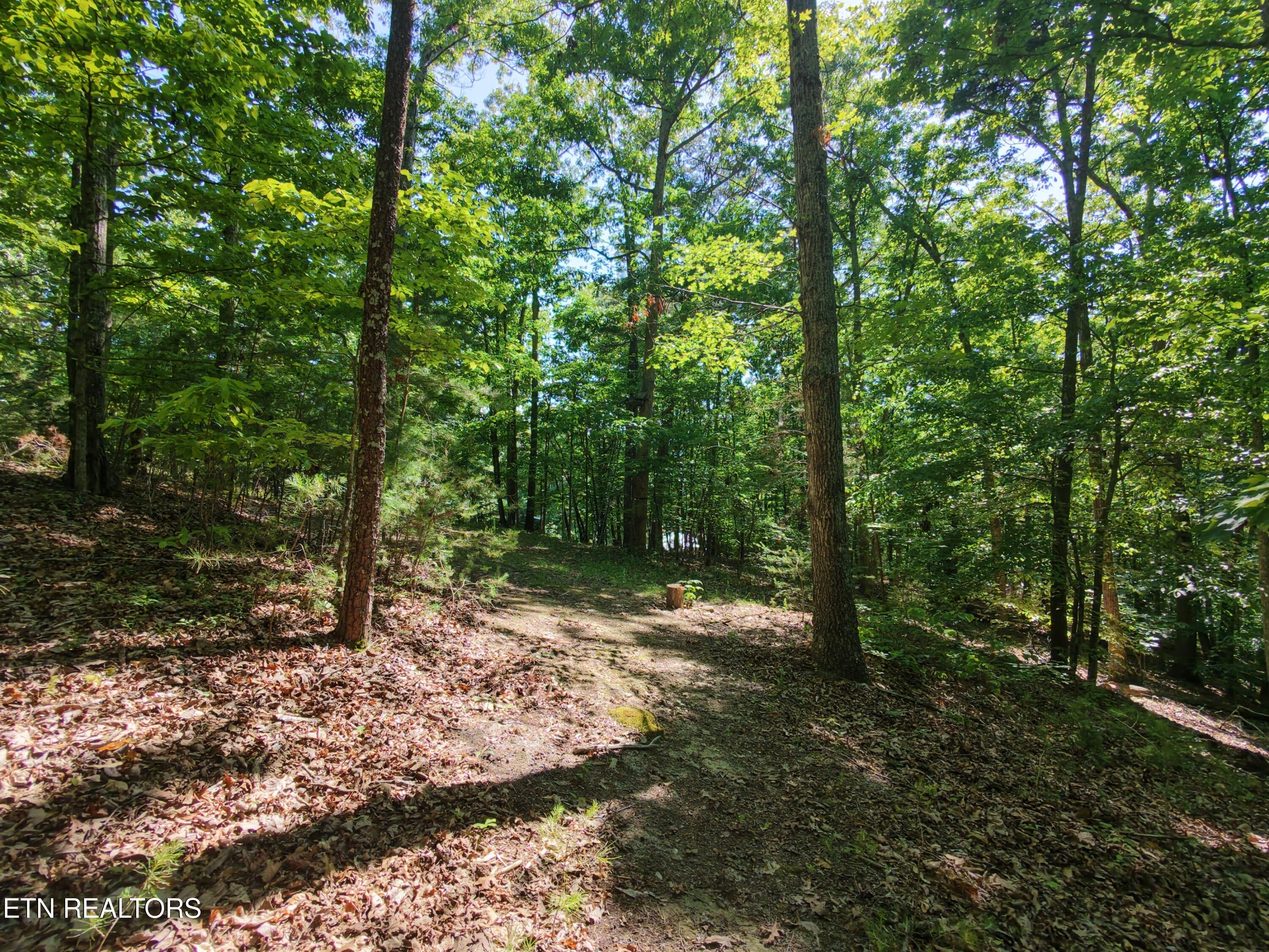 Boulder Way Newport, TN 37821 - Photo 1 of 11 260512_162858_0126_1778819492956