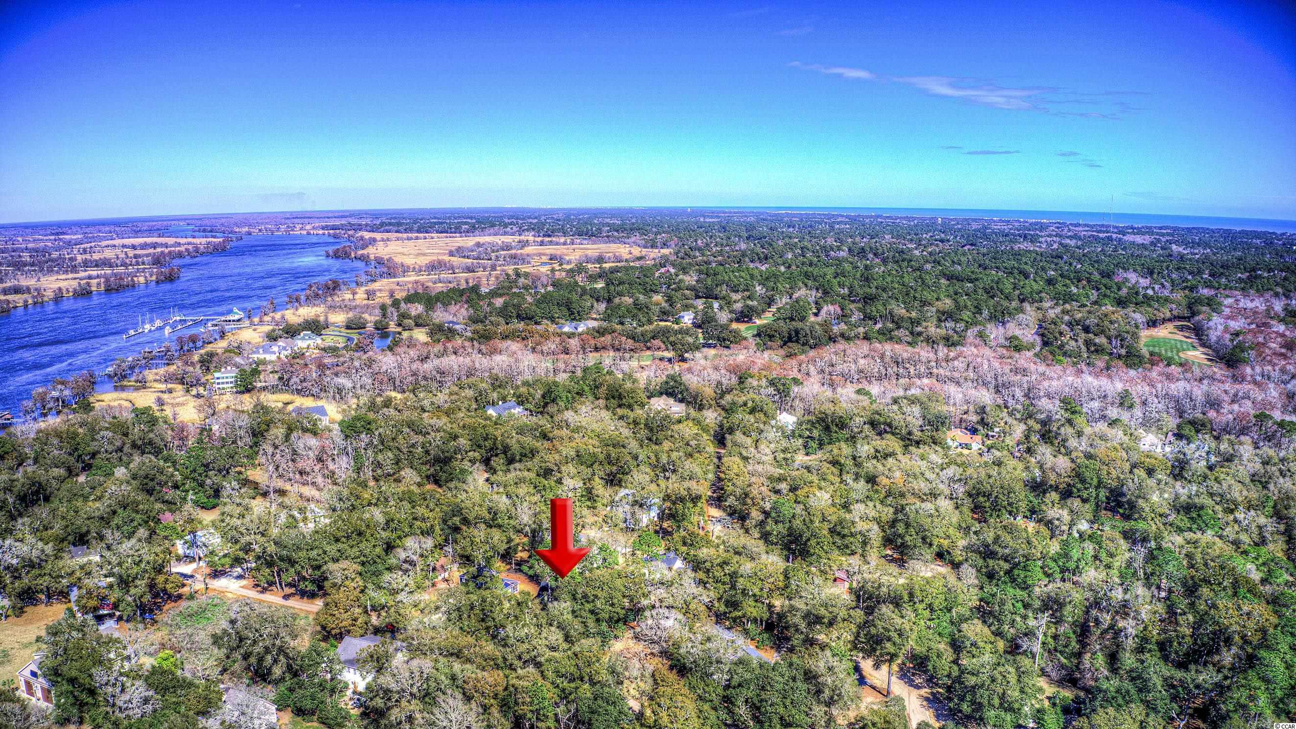 397 Emerson Loop Pawleys Island, SC 29585 - Photo 38 of 40