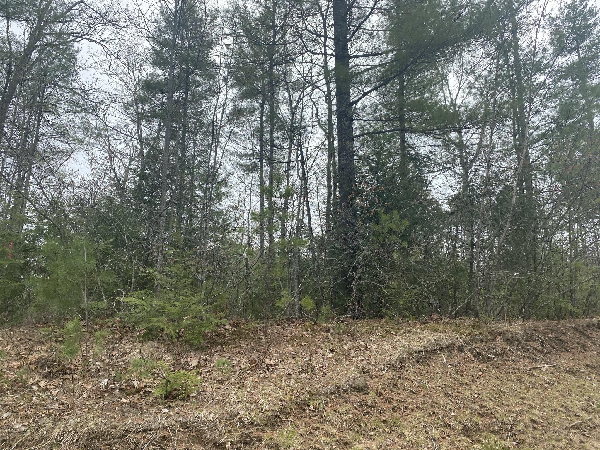 25-acres Killick Pond Road Hollis Center, ME 04042 - Photo 12 of 19 50EB8375-4394-4915-BDF5-7A3ECF529CE8