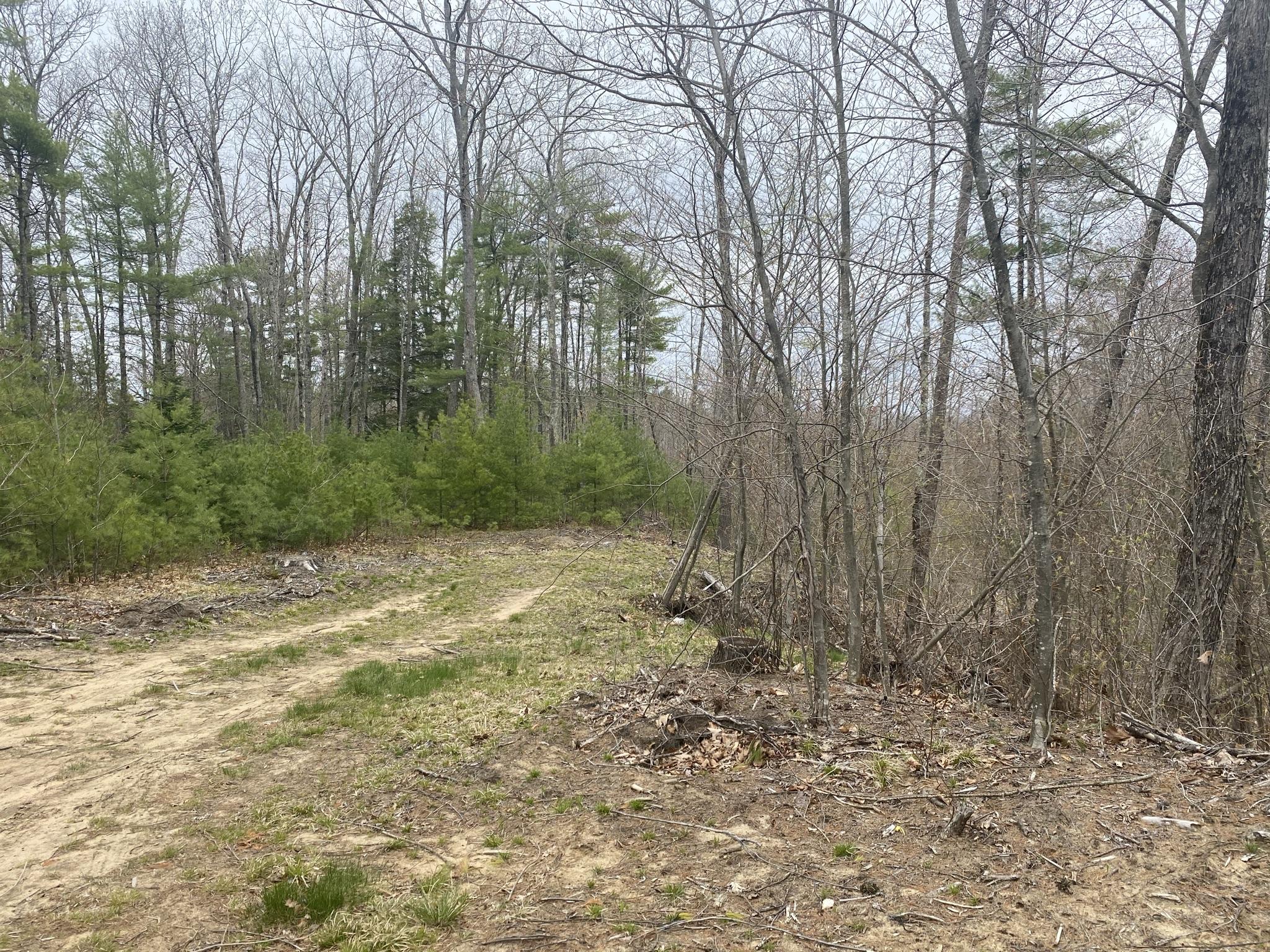 25-acres Killick Pond Road Hollis Center, ME 04042 - Photo 13 of 19 64A0716E-D5C7-438D-85AD-47651D148FD9