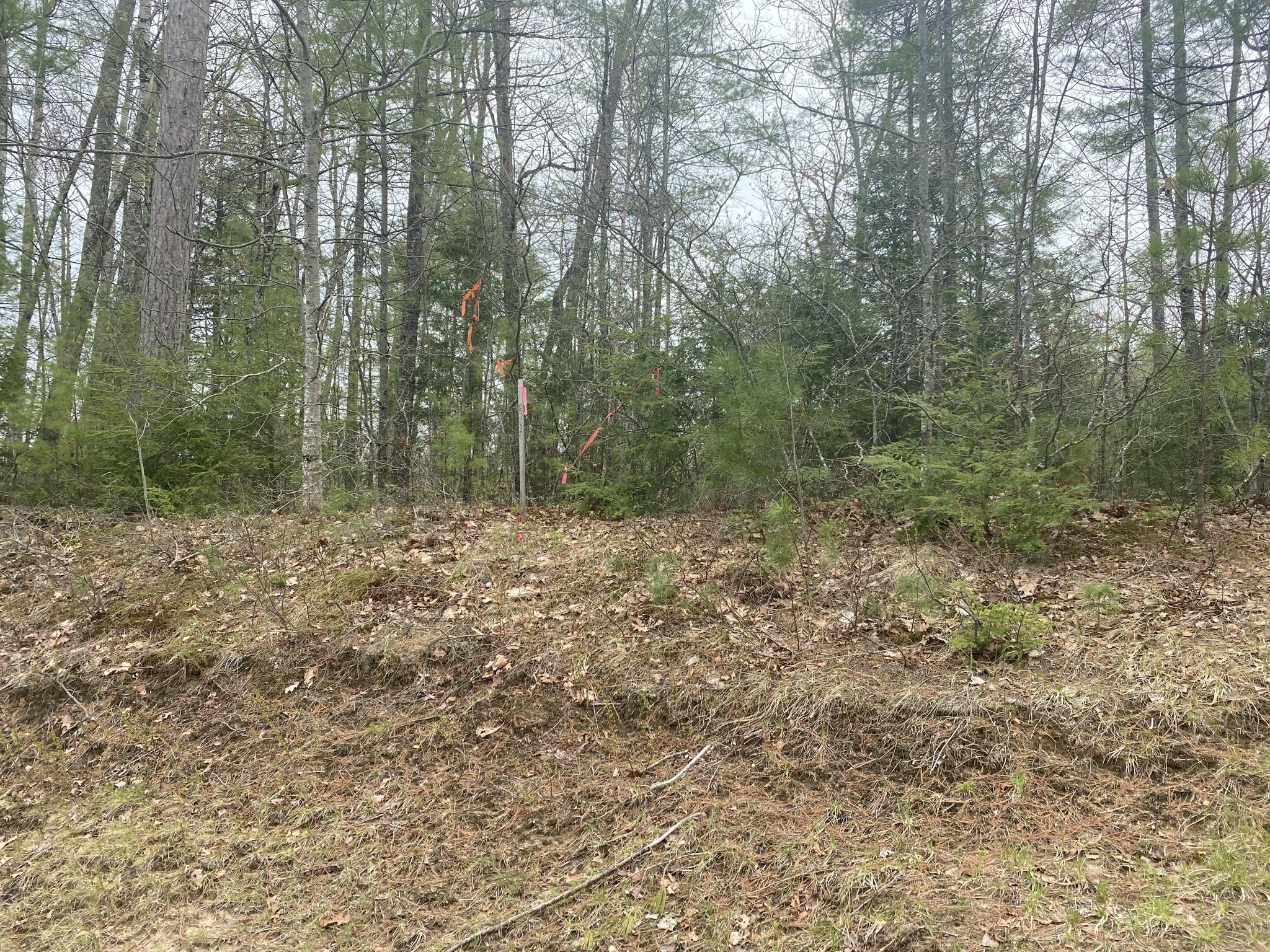 25-acres Killick Pond Road Hollis Center, ME 04042 - Photo 14 of 19 3FCA75E3-CBB3-4966-AC5B-52596802B101