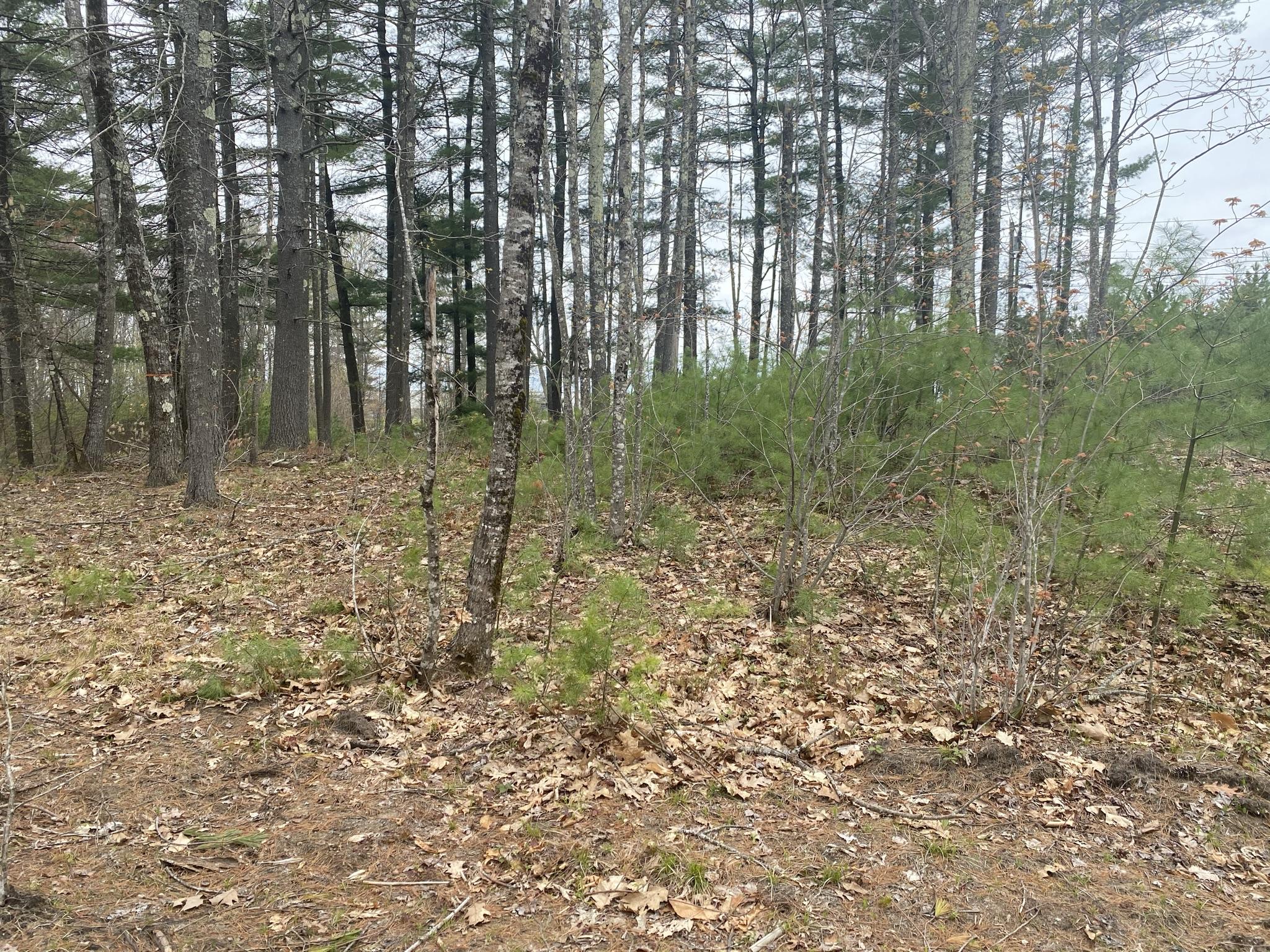 25-acres Killick Pond Road Hollis Center, ME 04042 - Photo 16 of 19 5E9A47BC-42AF-4E1E-A057-BF8DF3740036