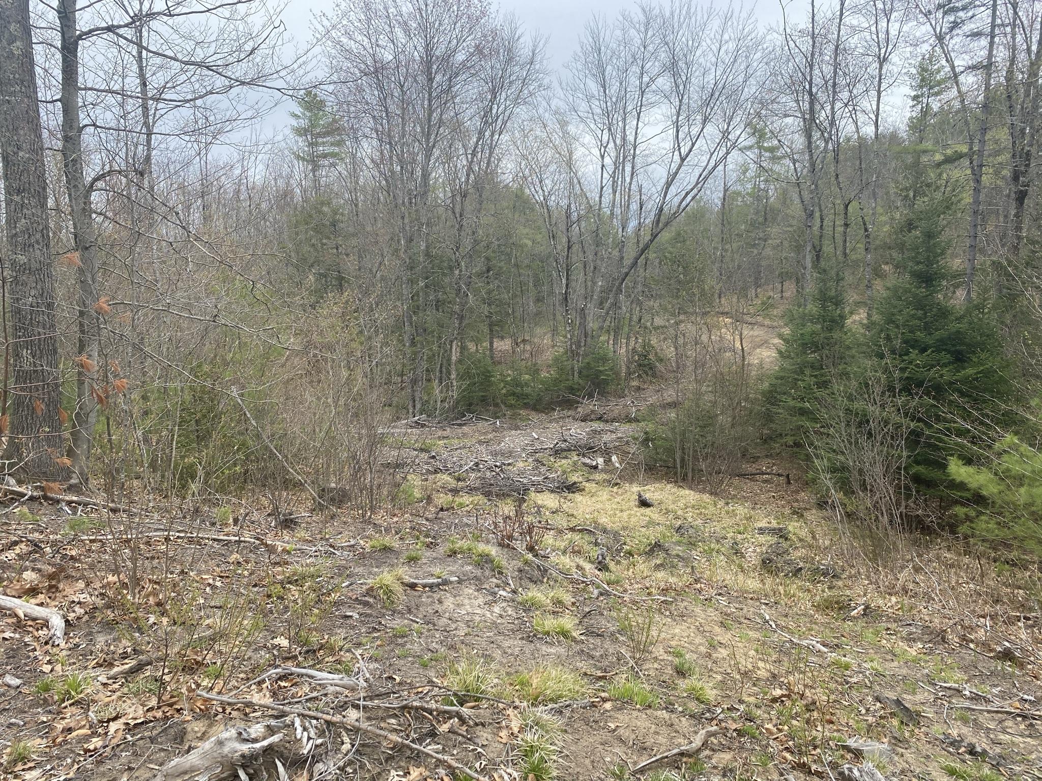 25-acres Killick Pond Road Hollis Center, ME 04042 - Photo 18 of 19 935B6CA6-F2B6-408F-9EEF-812946BF88E8