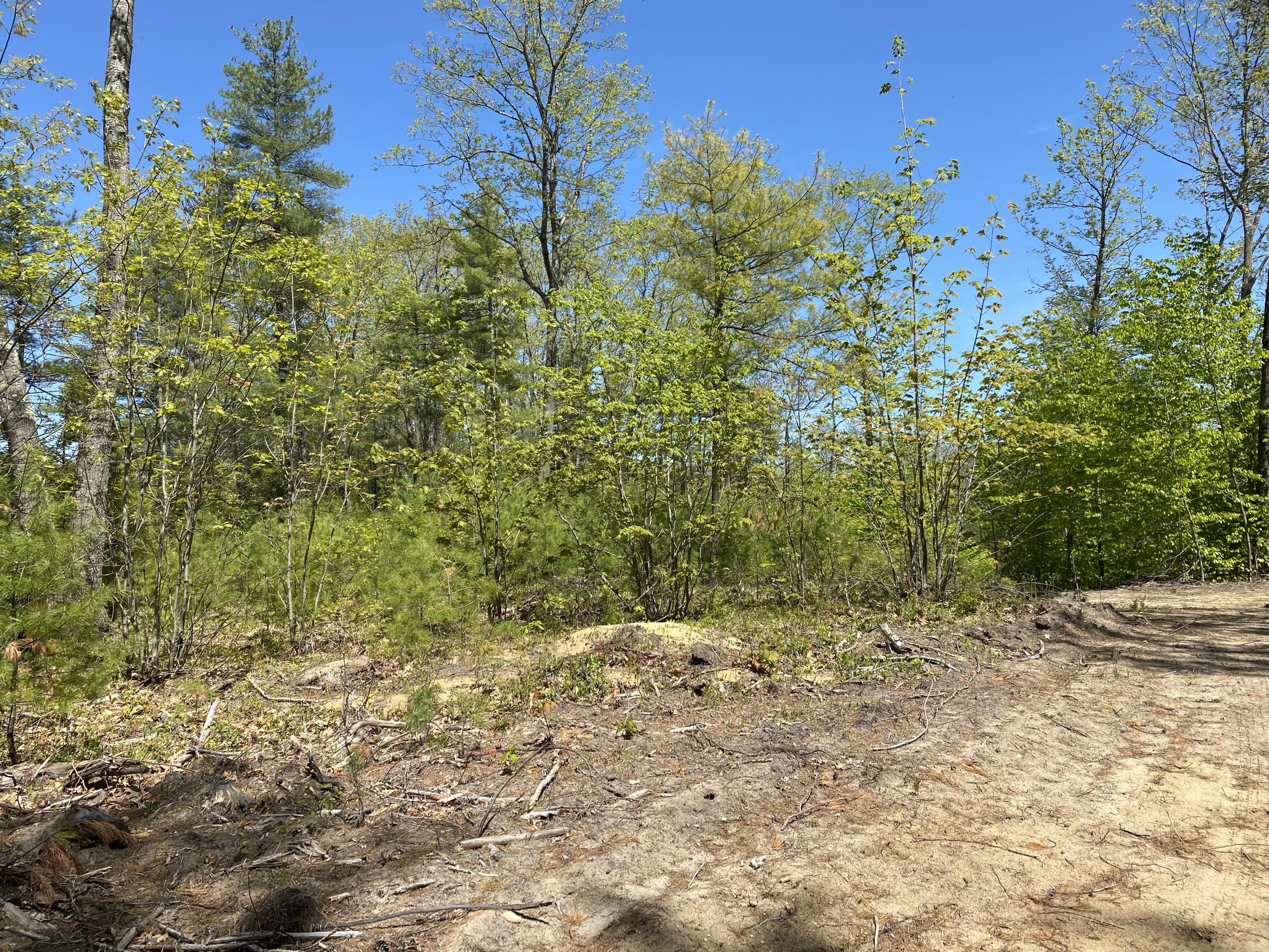 25-acres Killick Pond Road Hollis Center, ME 04042 - Photo 4 of 19 49D1630E-857C-4FEE-9806-DFCBF9CD98DC