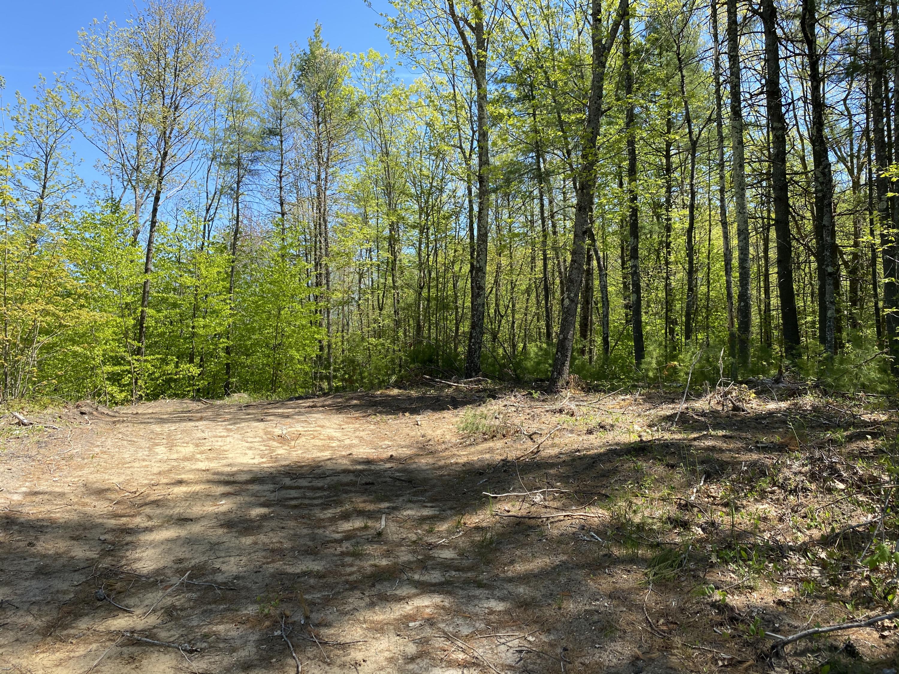 25-acres Killick Pond Road Hollis Center, ME 04042 - Photo 5 of 19 AE0DF685-991B-4862-A3B8-847CB5F7AD5E