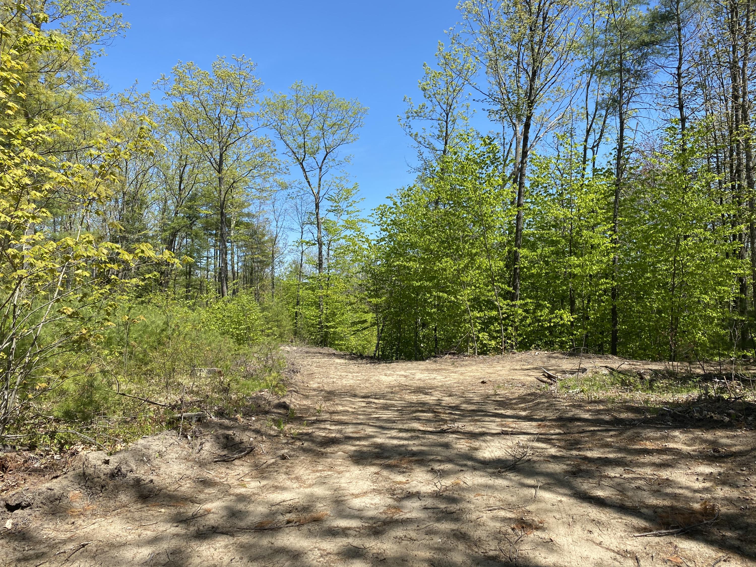 25-acres Killick Pond Road Hollis Center, ME 04042 - Photo 6 of 19 7EC64A5E-1C96-49A3-8351-FAC67DCCADEC