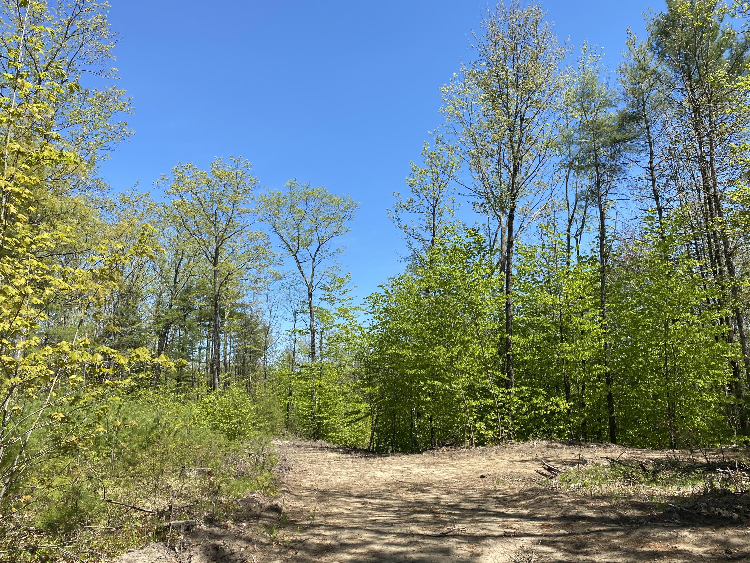 25-acres Killick Pond Road Hollis Center, ME 04042 - Photo 7 of 19 4EDE4F41-43AF-4C0A-8CDD-47AB992C24F5