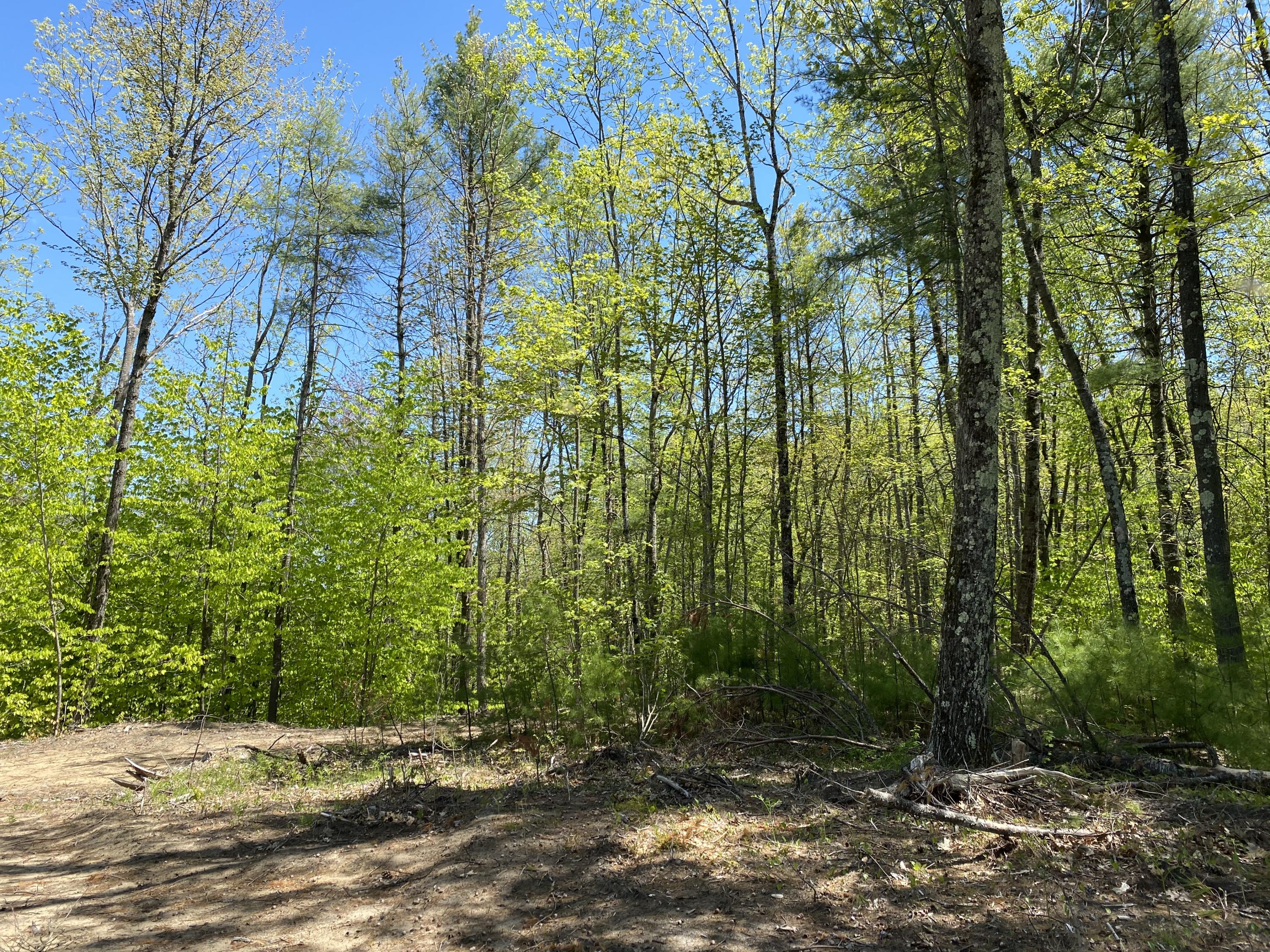 25-acres Killick Pond Road Hollis Center, ME 04042 - Photo 8 of 19 04C8944B-D267-4B94-BCE1-82C652C401E0