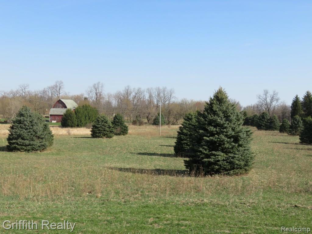 20563 Wasson Road Pinckney, MI 48169 - Photo 39 of 44 You will need to keep pinching yourself to see this is not all a dream, this piece of heaven can be had for less than 200k