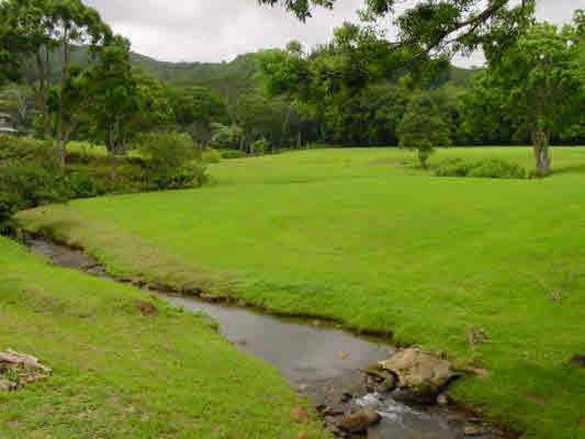 4 Kahuna Road, Unit 1 Kapaa, HI 96746 - Photo 2 of 6 a view of a grassy field with trees