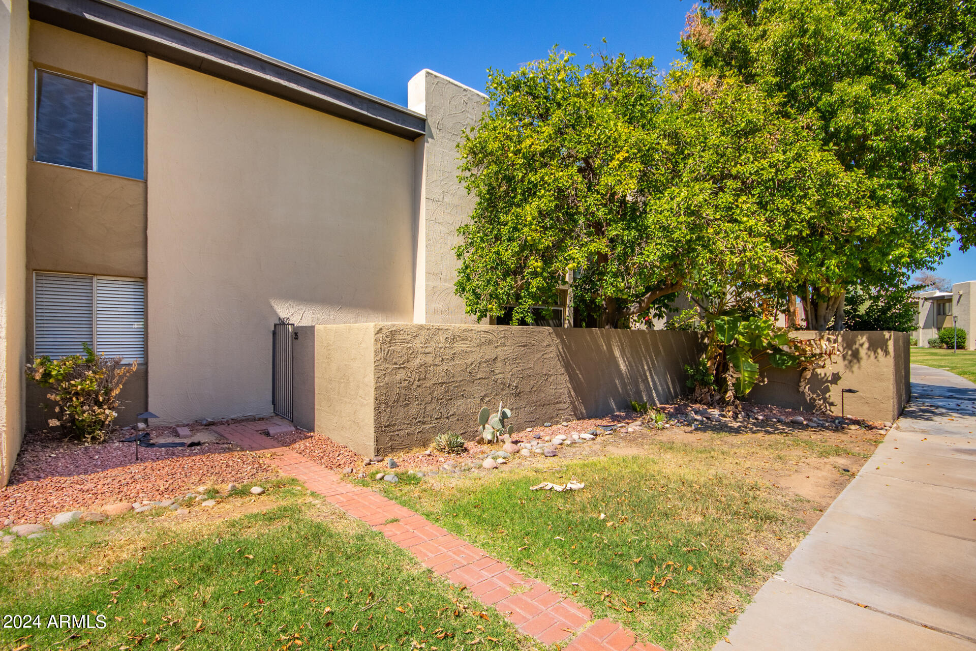 4201 East Camelback Road, Unit 35 Phoenix, AZ 85018 - Photo 31 of 33 a view of a backyard with plants and a large tree