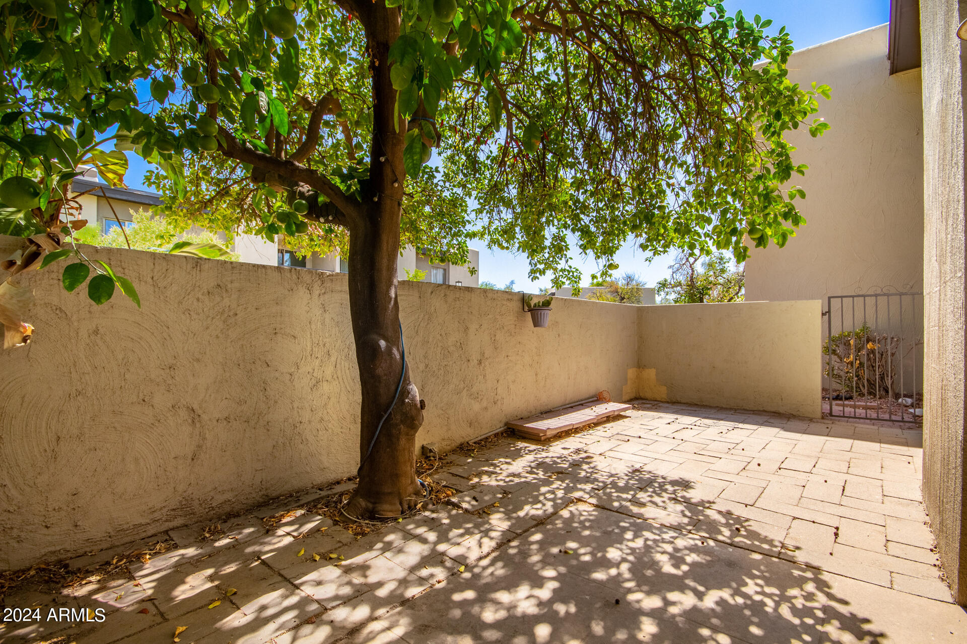 4201 East Camelback Road, Unit 35 Phoenix, AZ 85018 - Photo 4 of 33 a view of backyard with wooden fence