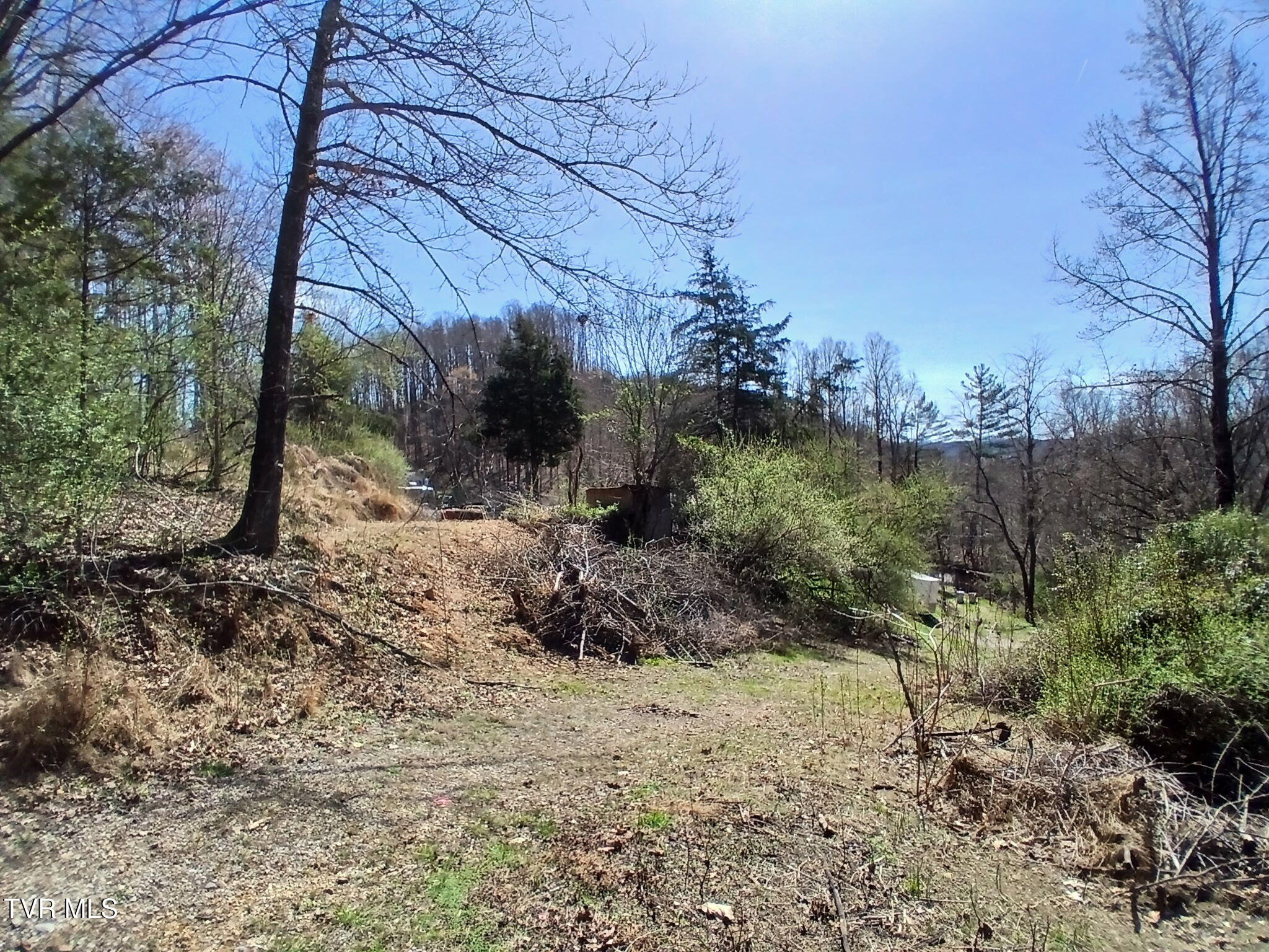 4314 Big Hill Road Pennington Gap, VA 24277 - Photo 11 of 35 8148651507114253837