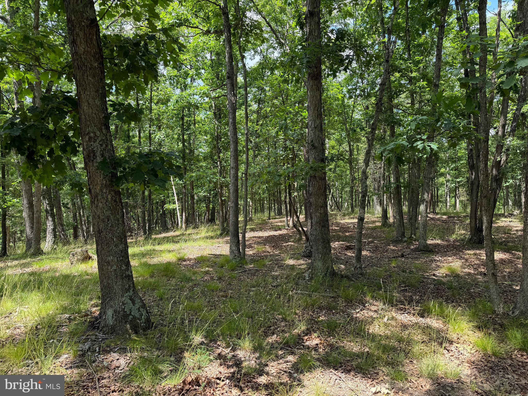 0 Headsville Road Keyser, WV 26726 - Photo 7 of 24