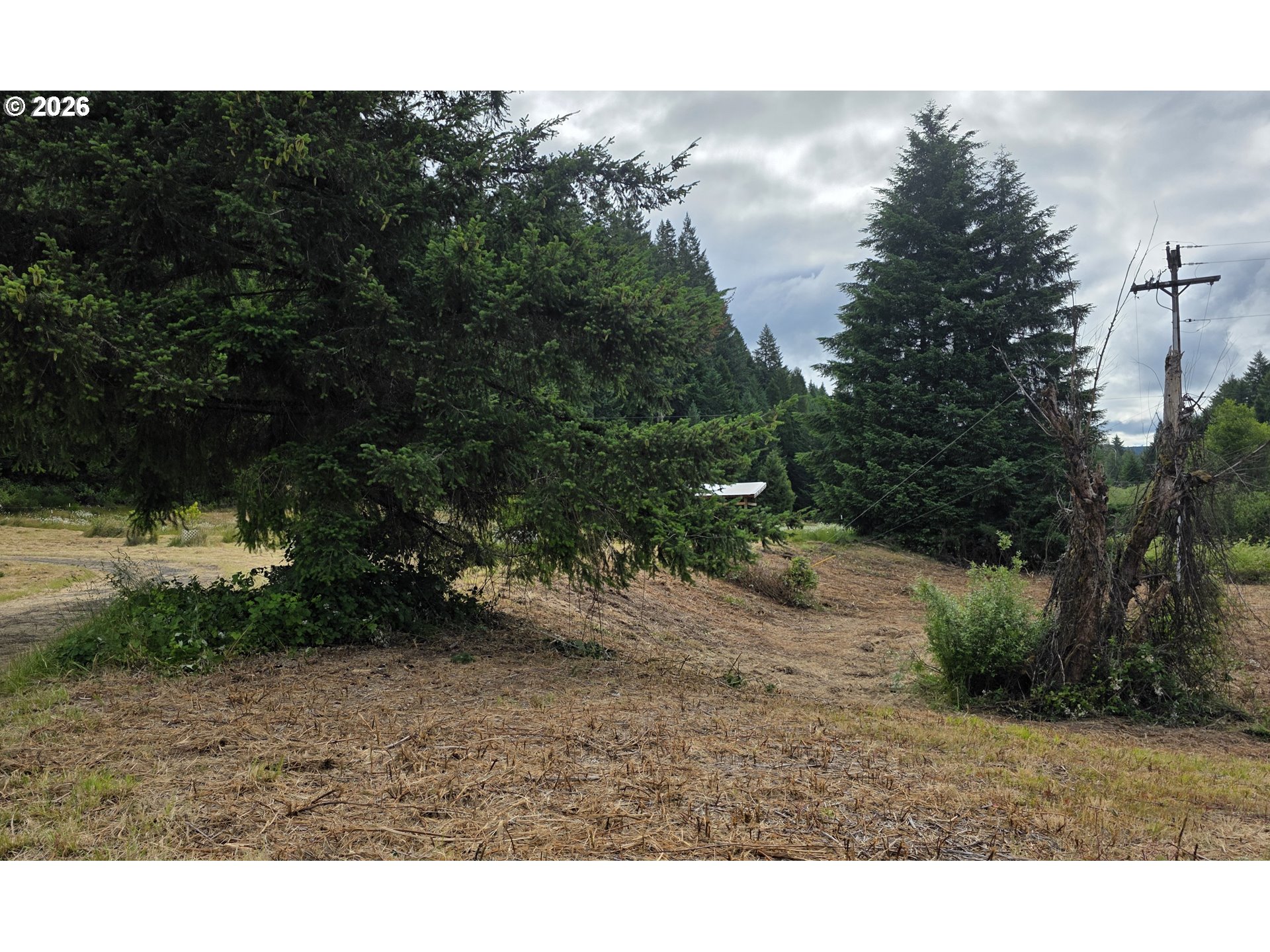 920 Buck Creek Road Drain, OR 97435 - Photo 16 of 18