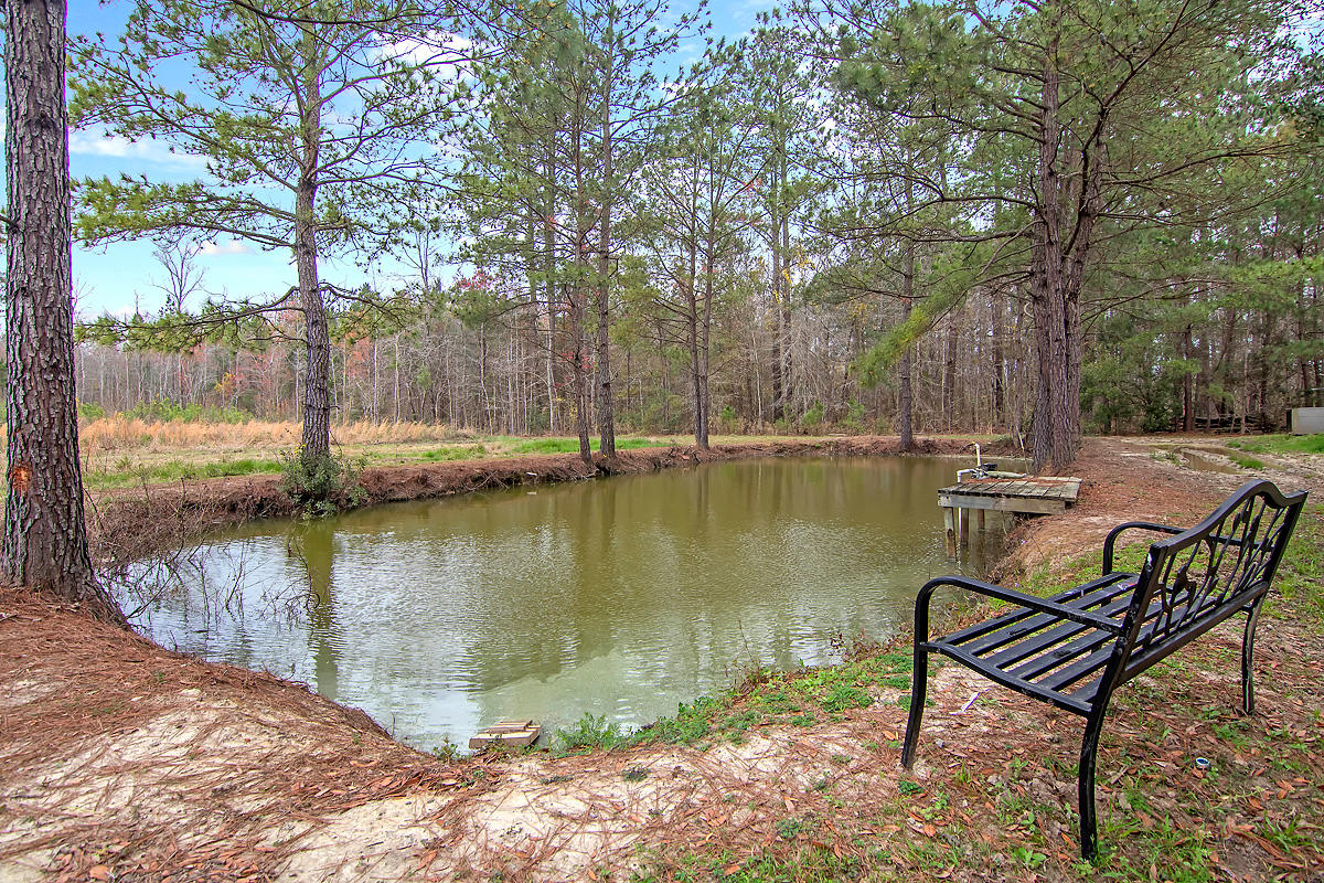 122 Viking Way St. George, SC 29477 - Photo 63 of 74 CREM_122 Viking Way_022