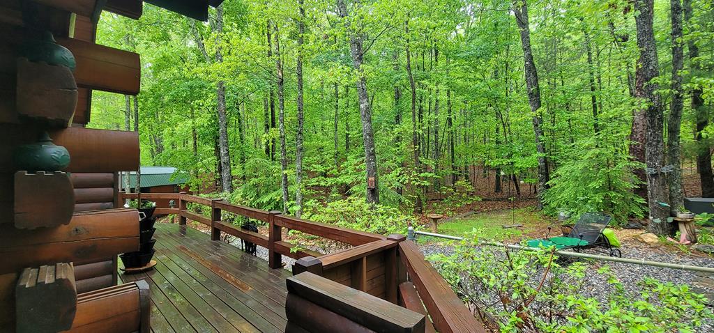 84 Victory Ridge Road Morganton, GA 30560 - Photo 62 of 66