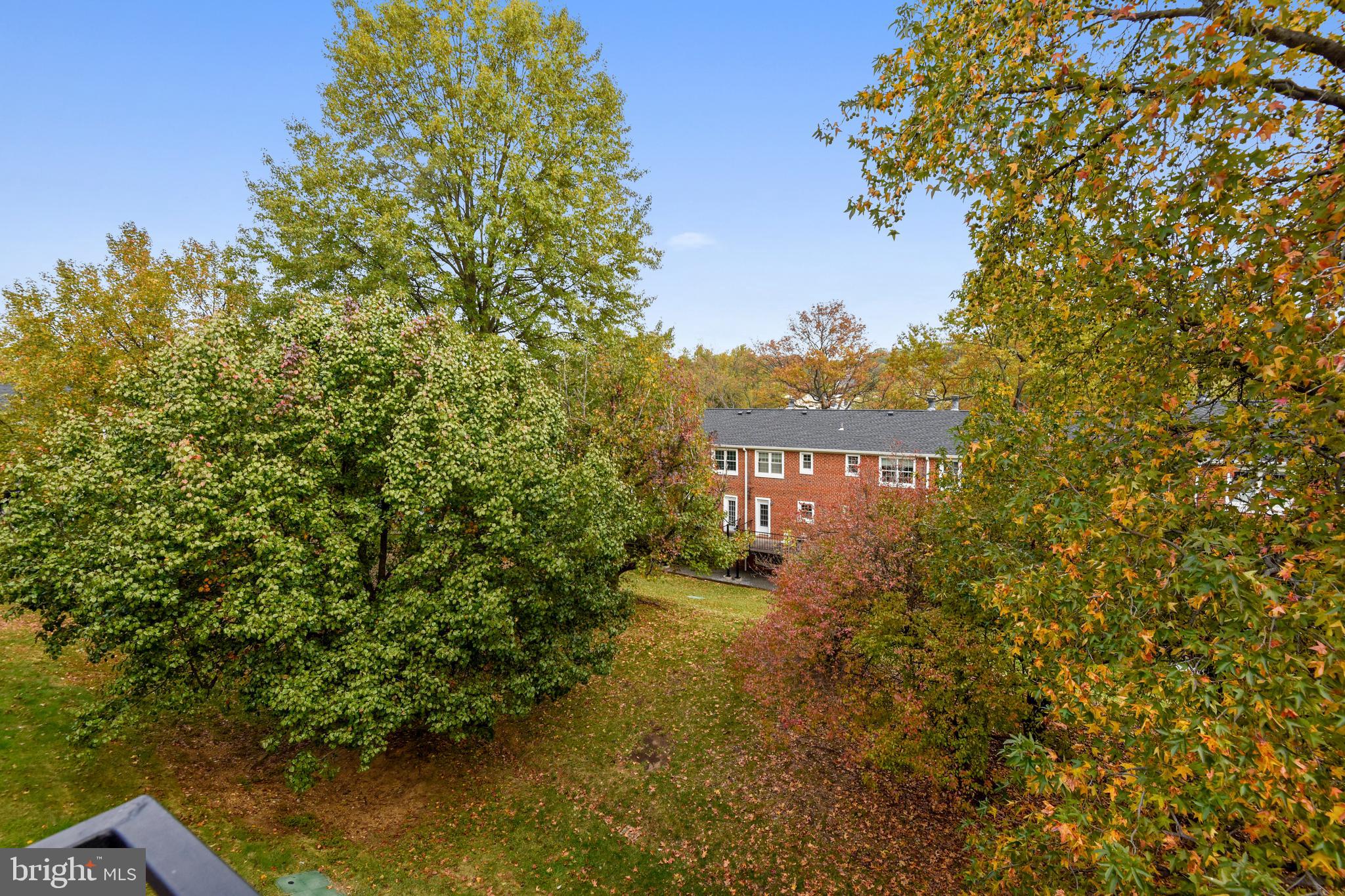4608 28th Road South, Unit B Arlington, VA 22206 - Photo 17 of 26 View from Balcony