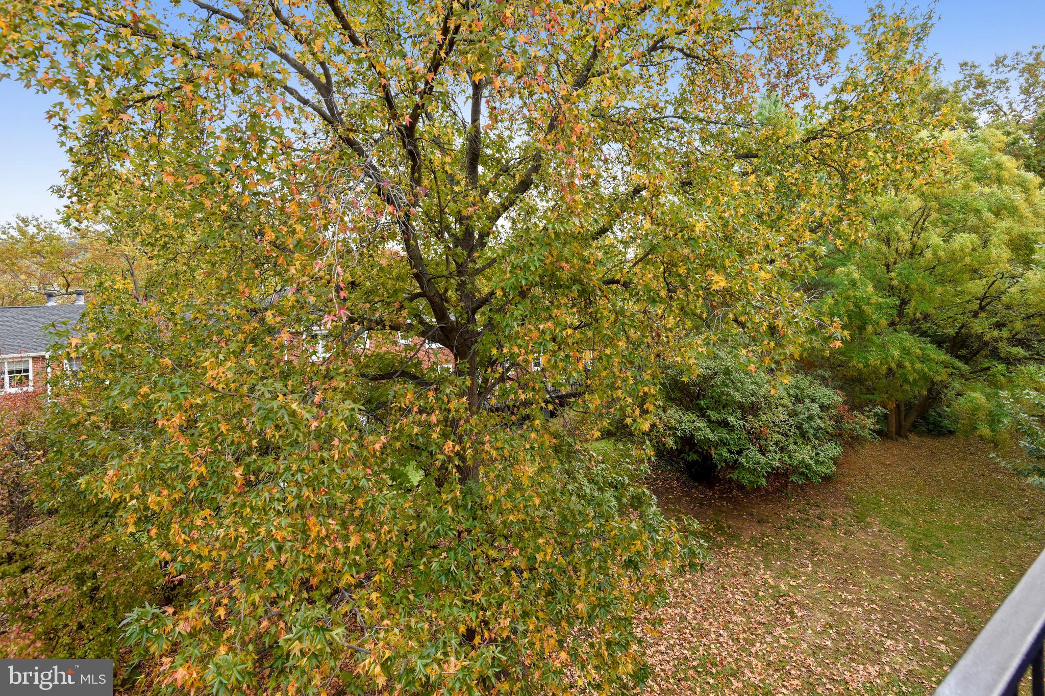 4608 28th Road South, Unit B Arlington, VA 22206 - Photo 18 of 26 View from Balcony