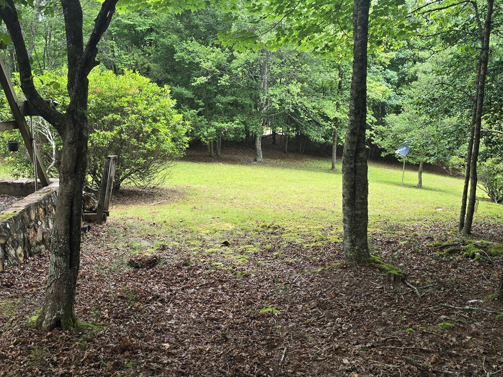 64 Green Oak Road Warne, NC 28909 - Photo 27 of 55