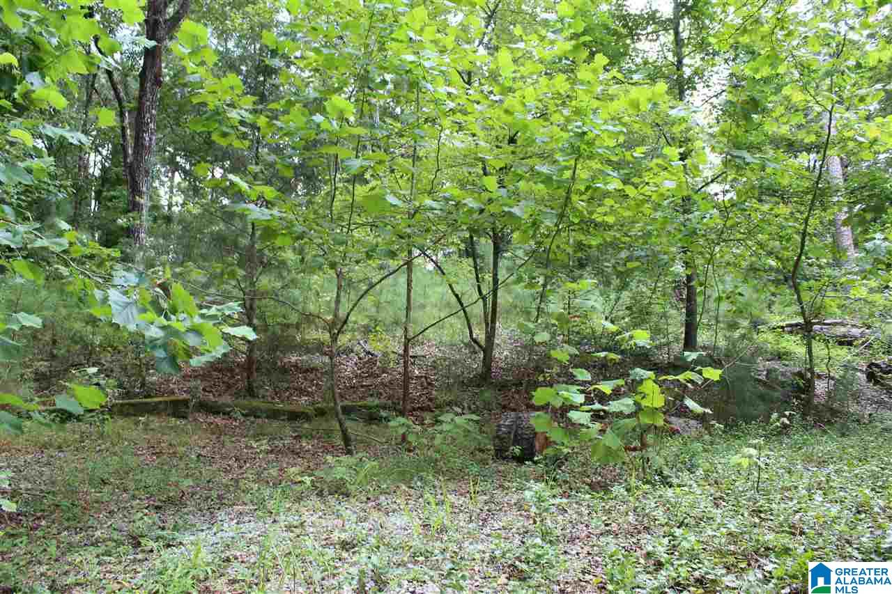 Mae Drive Alabaster, AL 35007 - Photo 4 of 6