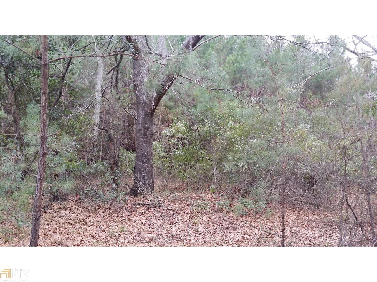 0 Corinth Church Road Clyo, GA 31303 - Photo 1 of 1 Land/Lot